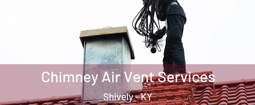 Chimney Air Vent Services Shively - KY