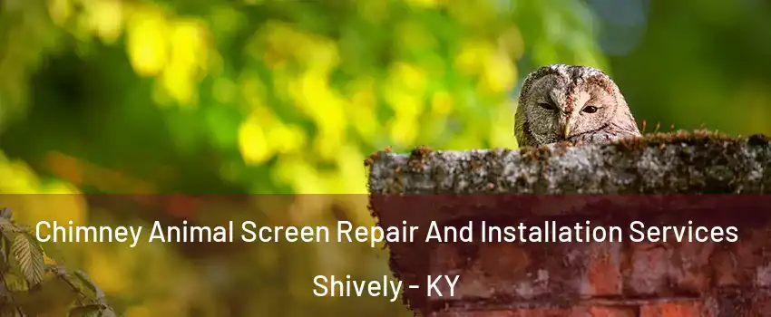  Chimney Animal Screen Repair And Installation Services Shively - KY