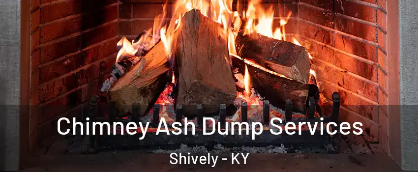  Chimney Ash Dump Services Shively - KY