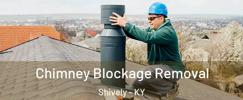  Chimney Blockage Removal Shively - KY
