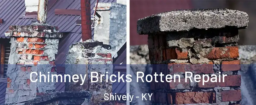  Chimney Bricks Rotten Repair Shively - KY