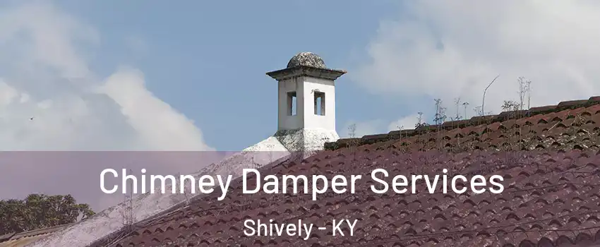  Chimney Damper Services Shively - KY