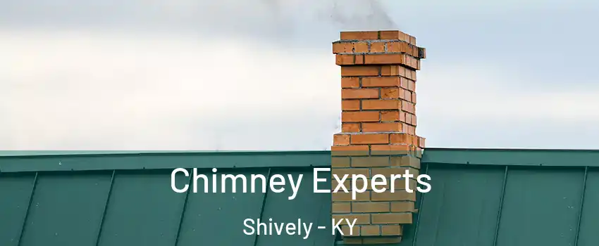  Chimney Experts Shively - KY