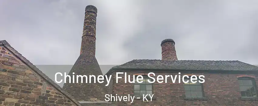  Chimney Flue Services Shively - KY