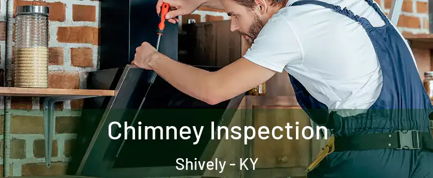  Chimney Inspection Shively - KY