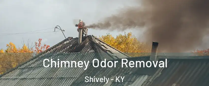  Chimney Odor Removal Shively - KY