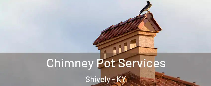  Chimney Pot Services Shively - KY