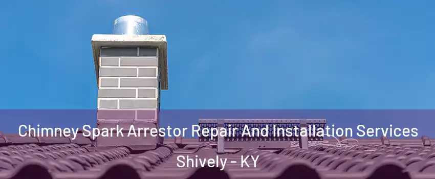 Chimney Spark Arrestor Repair And Installation Services Shively - KY