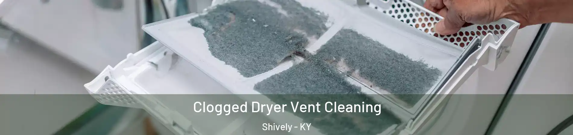  Clogged Dryer Vent Cleaning Shively - KY