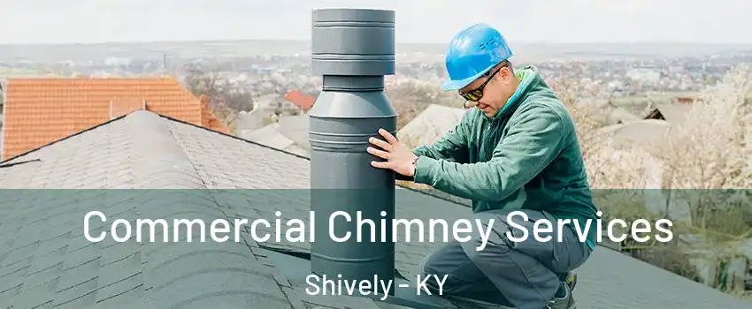  Commercial Chimney Services Shively - KY