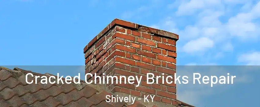  Cracked Chimney Bricks Repair Shively - KY
