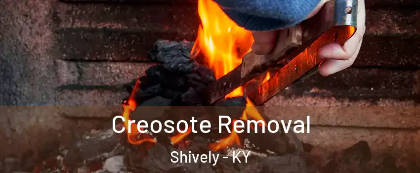  Creosote Removal Shively - KY