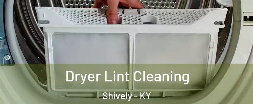  Dryer Lint Cleaning Shively - KY