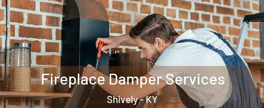  Fireplace Damper Services Shively - KY