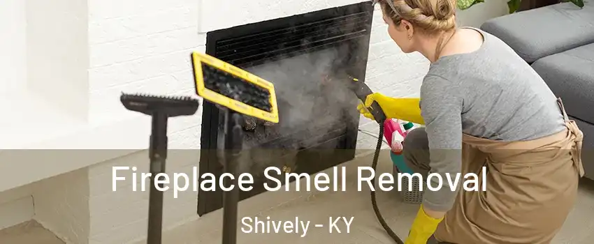  Fireplace Smell Removal Shively - KY