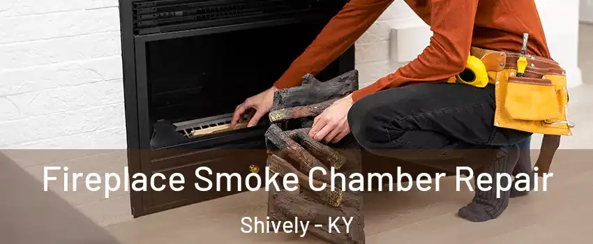  Fireplace Smoke Chamber Repair Shively - KY