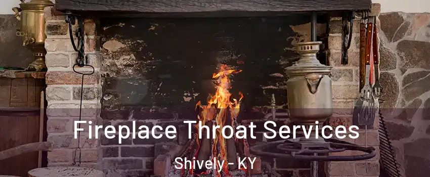  Fireplace Throat Services Shively - KY