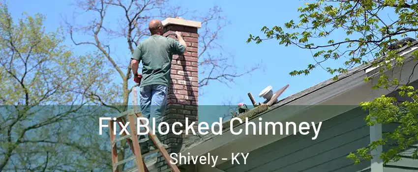  Fix Blocked Chimney Shively - KY