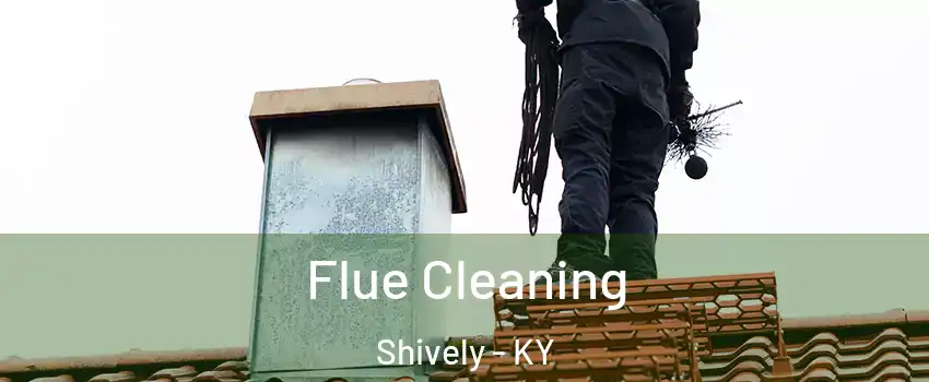  Flue Cleaning Shively - KY