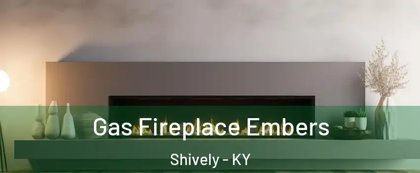  Gas Fireplace Embers Shively - KY