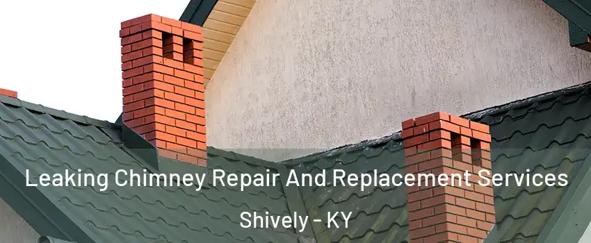  Leaking Chimney Repair And Replacement Services Shively - KY