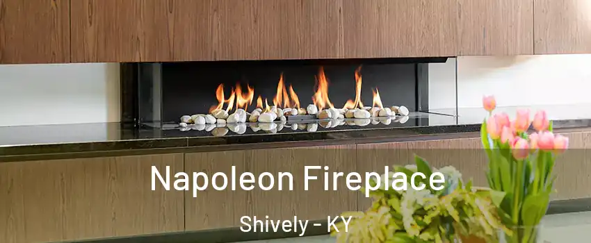  Napoleon Fireplace Shively - KY