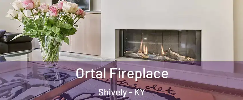  Ortal Fireplace Shively - KY